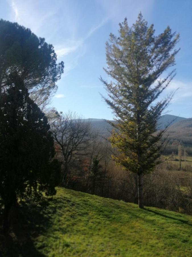 Location de vacances à Neylis avec vue sur les forêts et les champs Carla-de-Roquefort Exterior foto